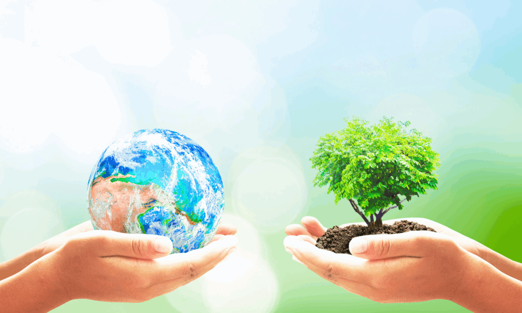 O uso da energia solar reduz impactos negativos ao meio ambiente.