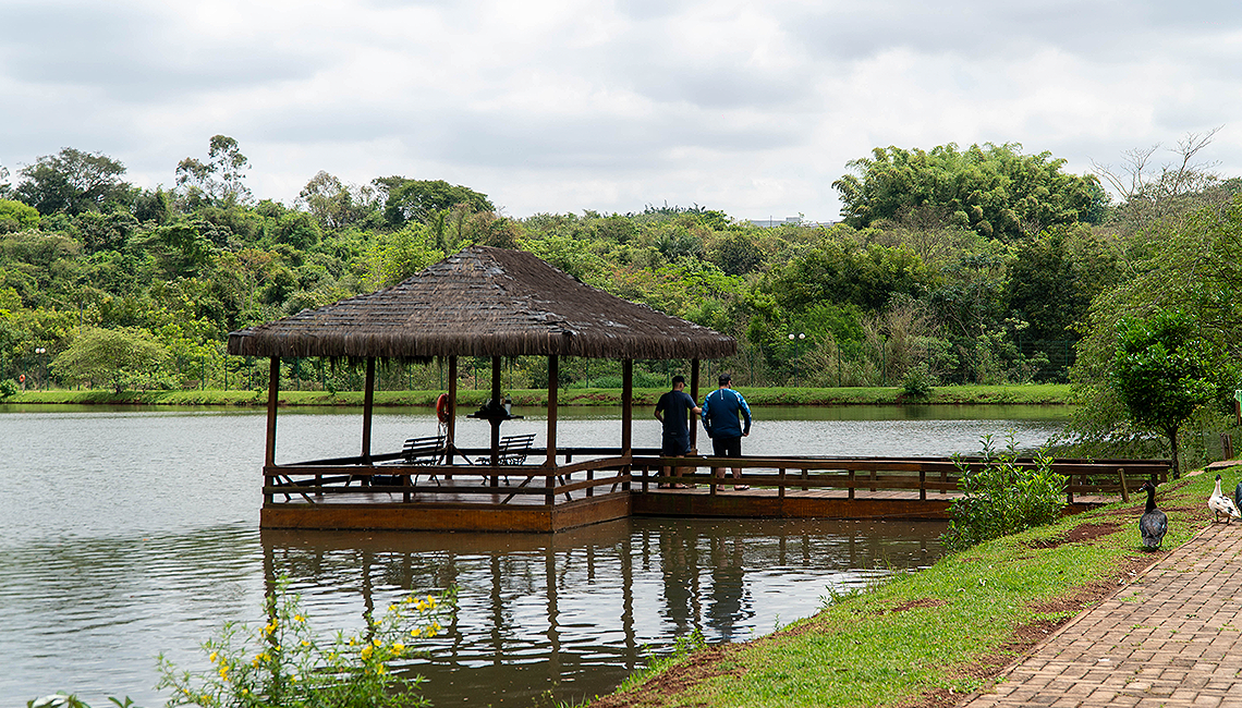 galeria