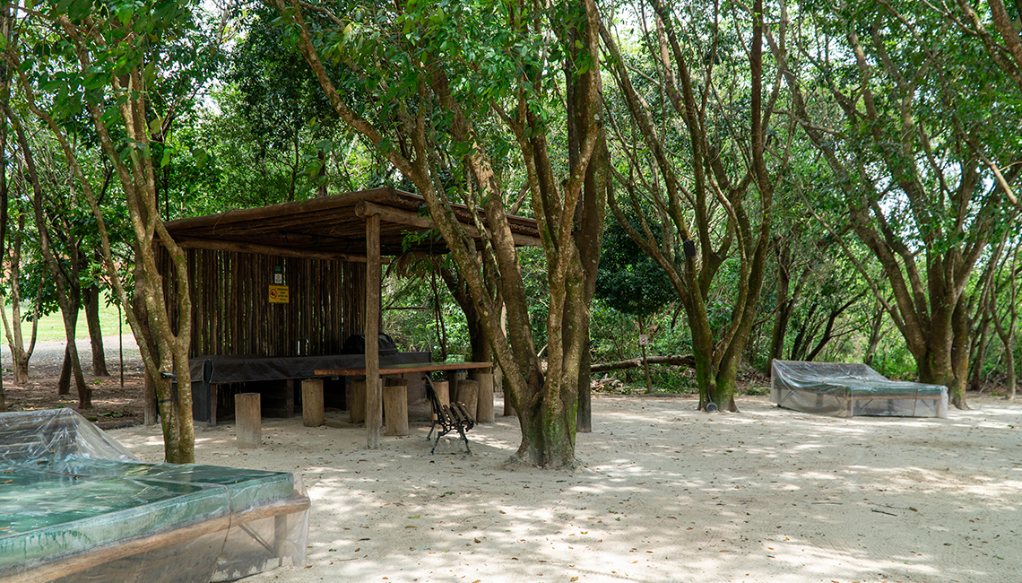 galeria