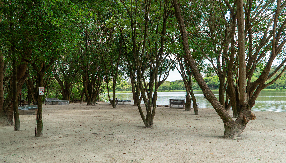 galeria